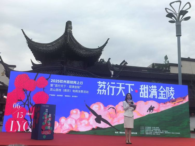 荔香飘金陵，共话振兴情——2025钦州荔枝网上行暨灵山荔枝（南京）电商文化节盛大启幕